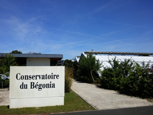 參訪法國Conservatoire du Bégonia