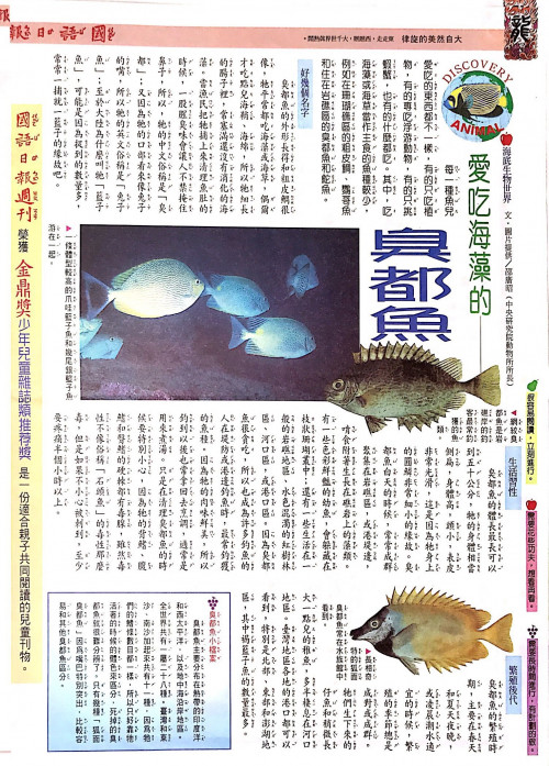 國語日報—海底生物世界：臭肚魚