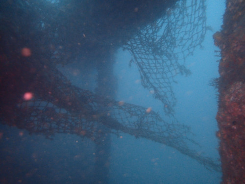 人工魚礁—安平鋼鐵礁