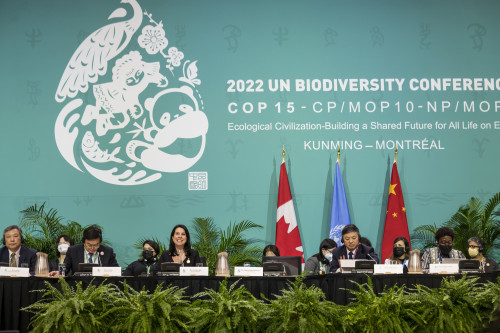 聯合國《生物多樣性公約》締約方大會第十五次會議—閉幕會議