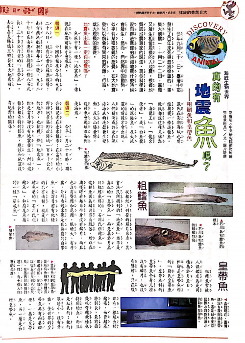 國語日報—海底生物世界：地震魚