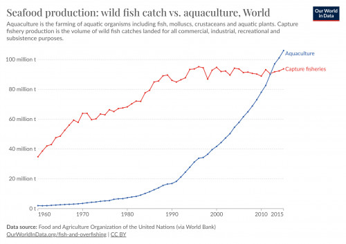 全球海鮮生產：野生漁獲 vs. 水產養殖