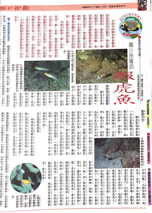 國語日報—海底生物世界：鰕虎魚