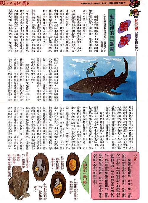 國語日報—海底生物世界：鯨鮫