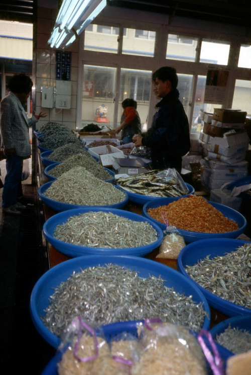 梧棲漁港—漁市拍賣