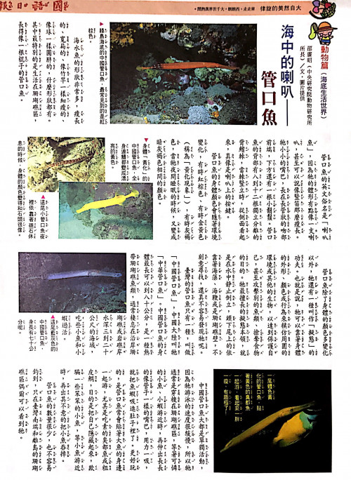 國語日報—海底生物世界：管口魚