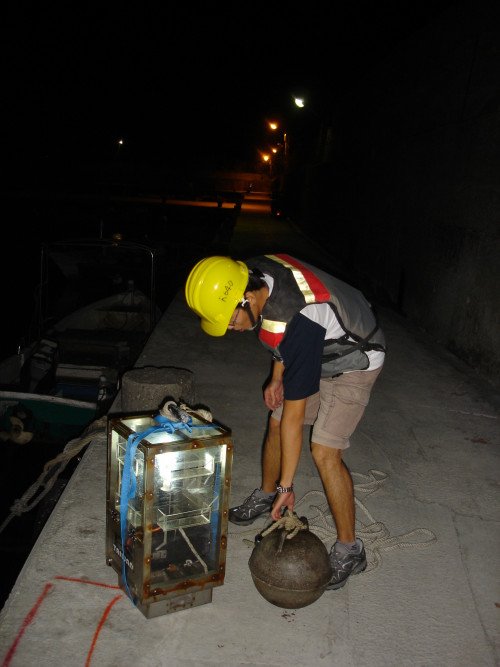 利用燈光誘捕器，捕撈具有趨光性的仔稚魚的活體標本