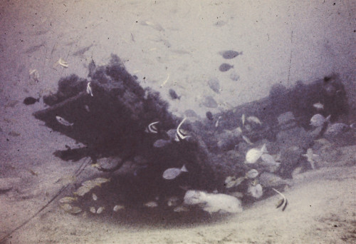 人工魚礁—沉船礁