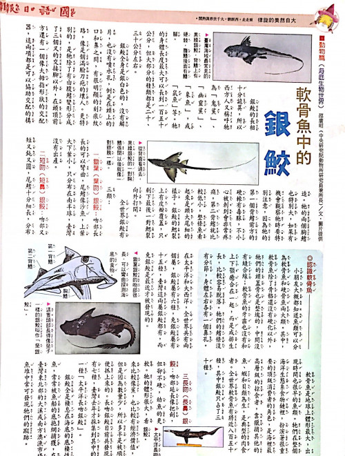 國語日報—海底生物世界：銀鮫