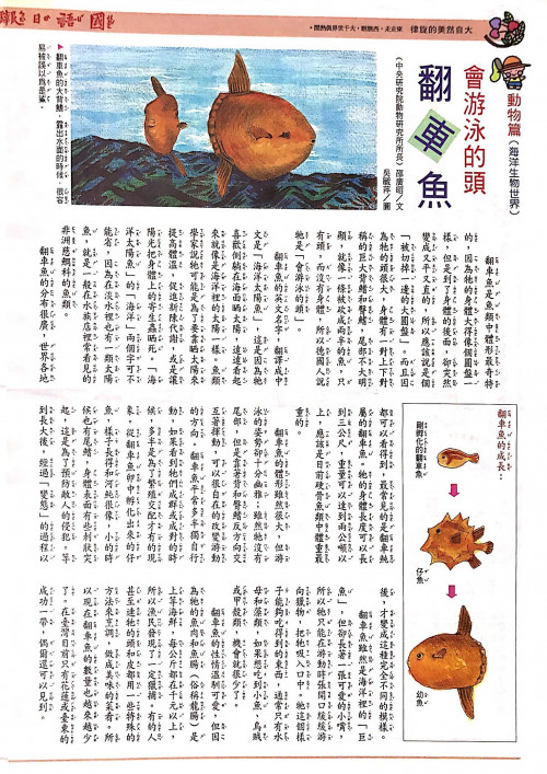 國語日報—海底生物世界：翻車魚