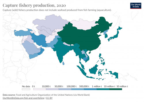 2020年亞洲捕撈漁業生產