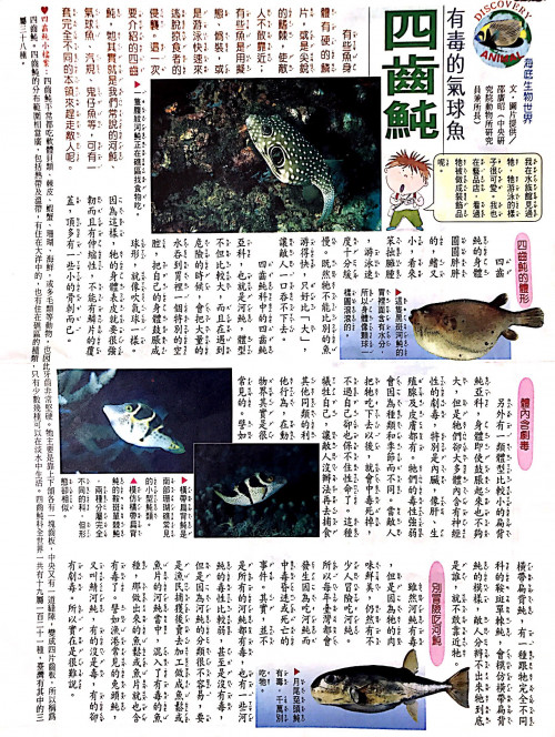 國語日報—海底生物世界：四齒純