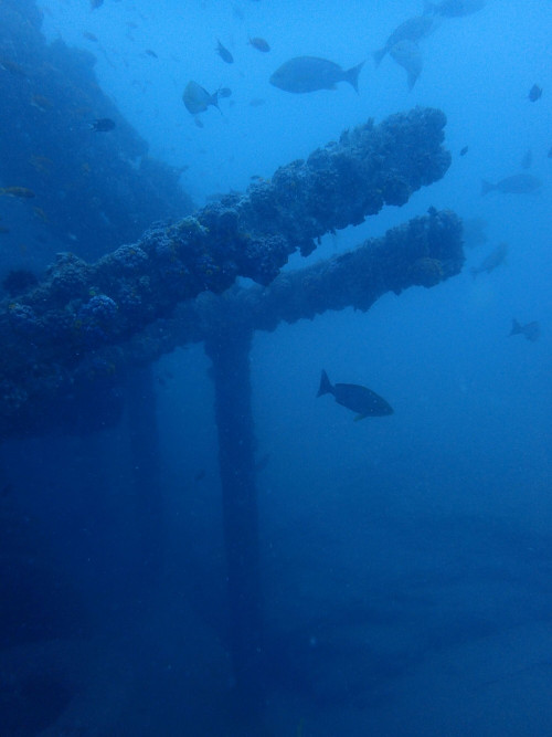 人工魚礁—宜灣鋼鐵礁