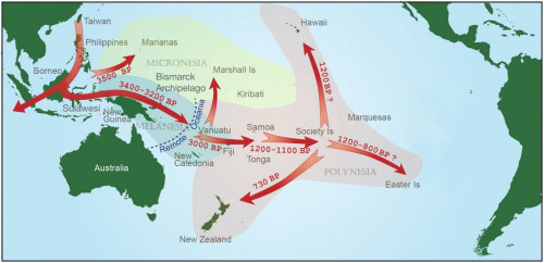 由語言學及考古學推論南島語族在太平洋的遷徙路徑與年代