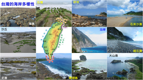 台灣海岸生態多樣性