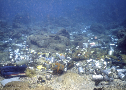 椰油斷層之海底廢棄物