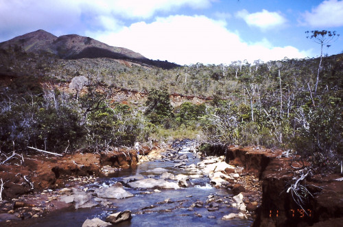 溪流採集—新喀里多尼亞