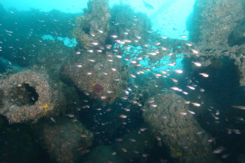 人工魚礁—梓官電桿礁