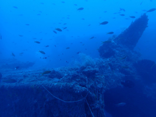 人工魚礁—彌陀船礁
