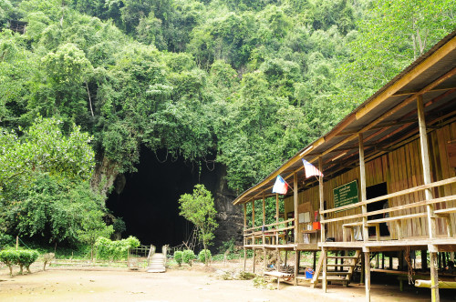 馬來西亞_Gomantong Caves