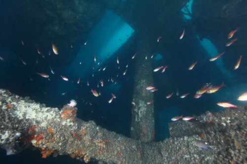 人工魚礁—安平五鋼鐵礁