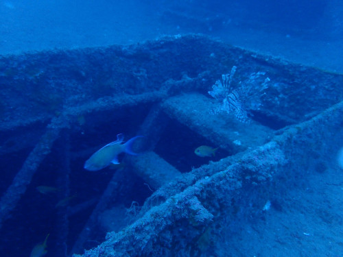 人工魚礁—屏東海口船礁