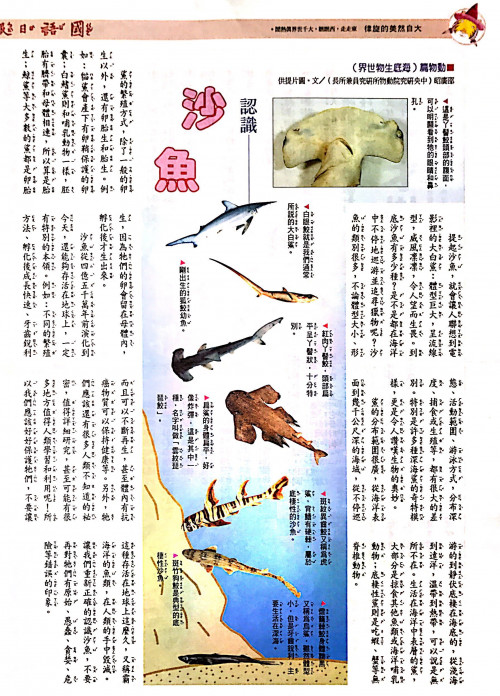 國語日報—海底生物世界：沙魚