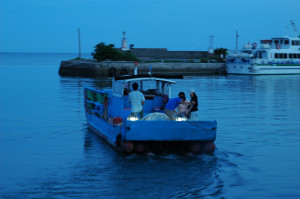 黃昏時租用漁船到外海施放燈光誘捕器，捕撈具有趨光性的仔稚魚的活體標本