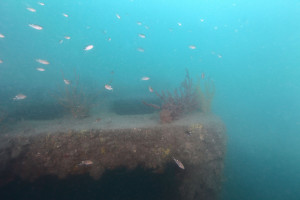 人工魚礁—林園二水泥礁