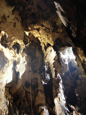 馬來西亞_Madai Cave