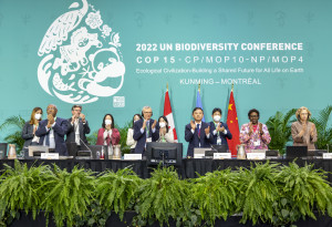 聯合國《生物多樣性公約》締約方大會第十五次會議—採用《昆明-蒙特婁全球生物多樣性框架》