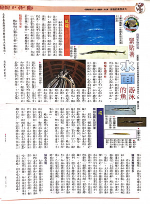 國語日報—海底生物世界：鱵及鶴鱵