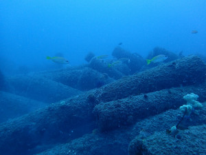 人工魚礁—花蓮鹽寮電桿礁
