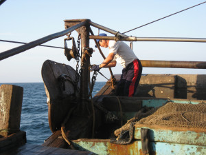 租用漁船在外海採集魚類標本—施放底拖網漁具的網板