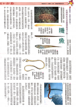 國語日報—海底生物世界：隱魚