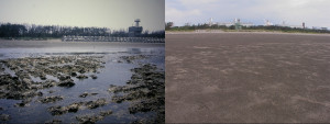 海防班哨前的藻礁與環境變遷