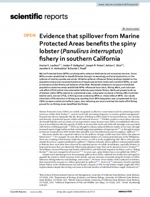 Evidence that spillover from Marine Protected Areas benefits the spiny lobster (Panulirus interruptus) fishery in southern California