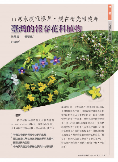 山寒水瘦唯櫻草，趕在梅先報曉春—臺灣的報春花科植物