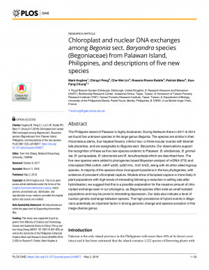 Chloroplast and nuclear DNA exchanges among Begonia sect. Baryandra species (Begoniaceae) from Palawan Island, Philippines, and descriptions of five new species
